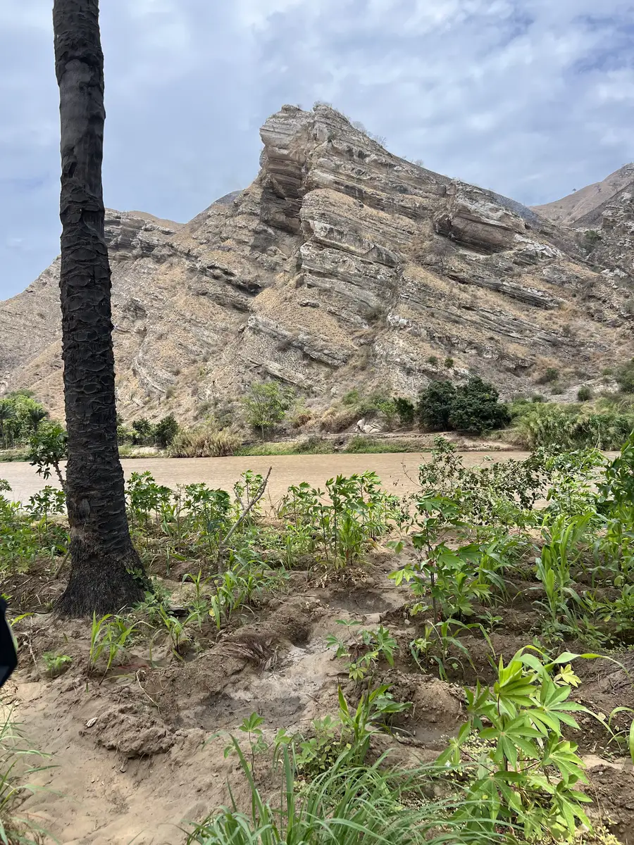 Angola Gallery Image 111