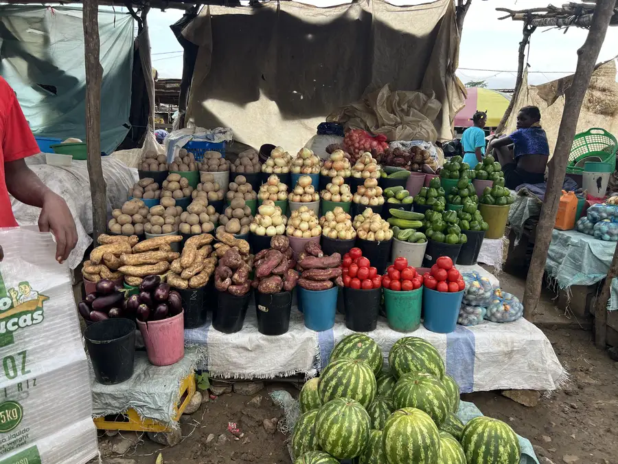 Angola Gallery Image 113