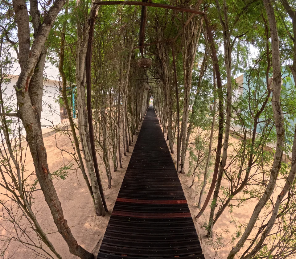 Angola Gallery Image 12