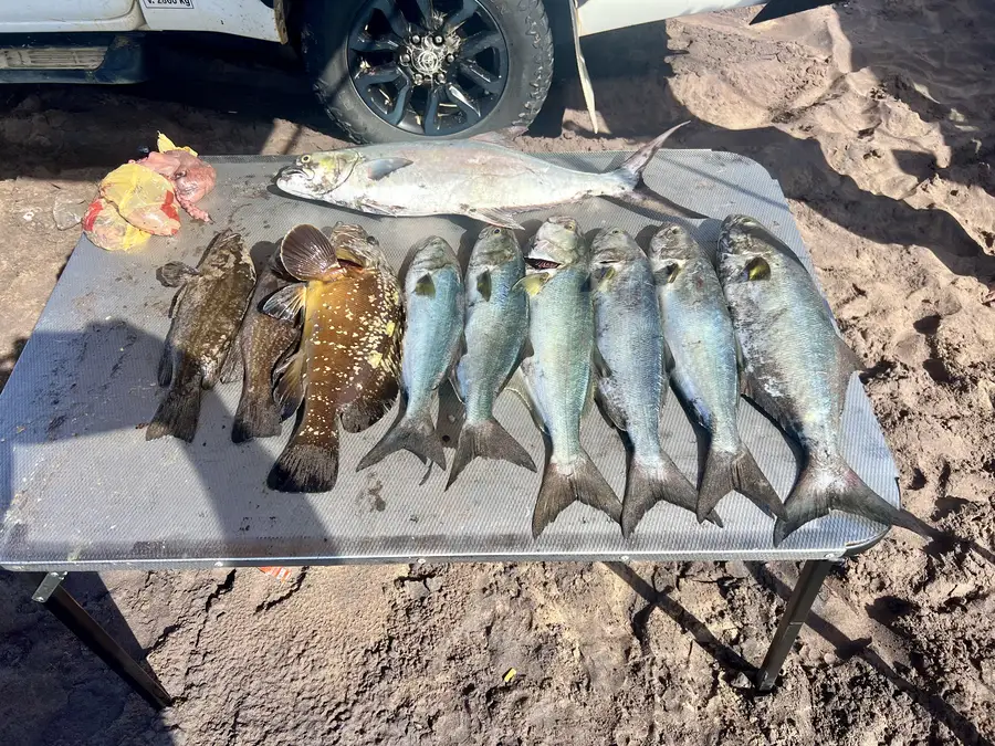 Angola Gallery Image 125