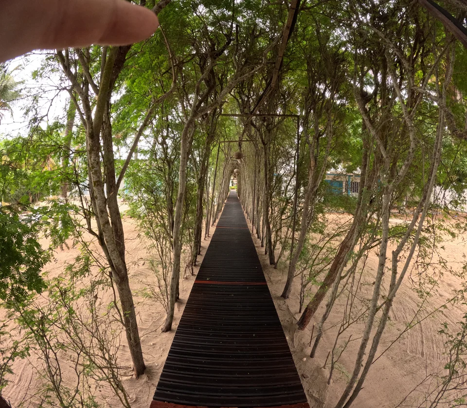 Angola Gallery Image 21