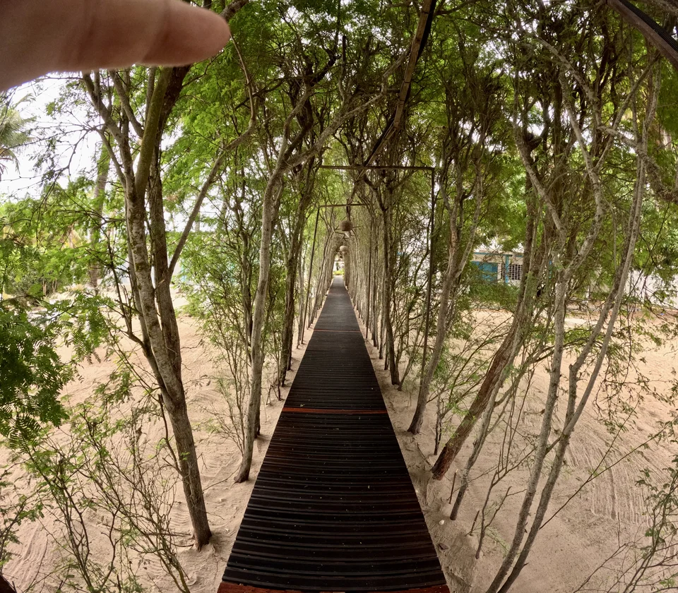 Angola Gallery Image 23