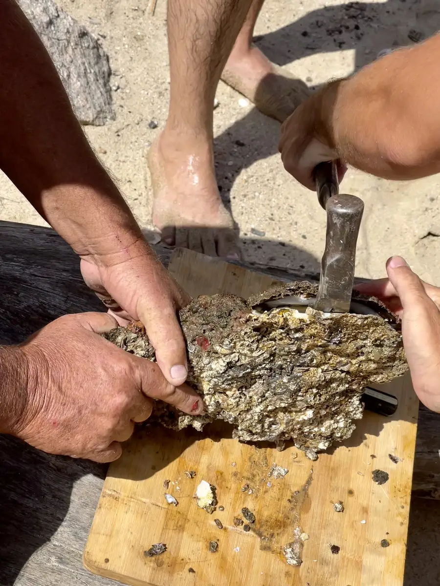 Angola Gallery Image 51