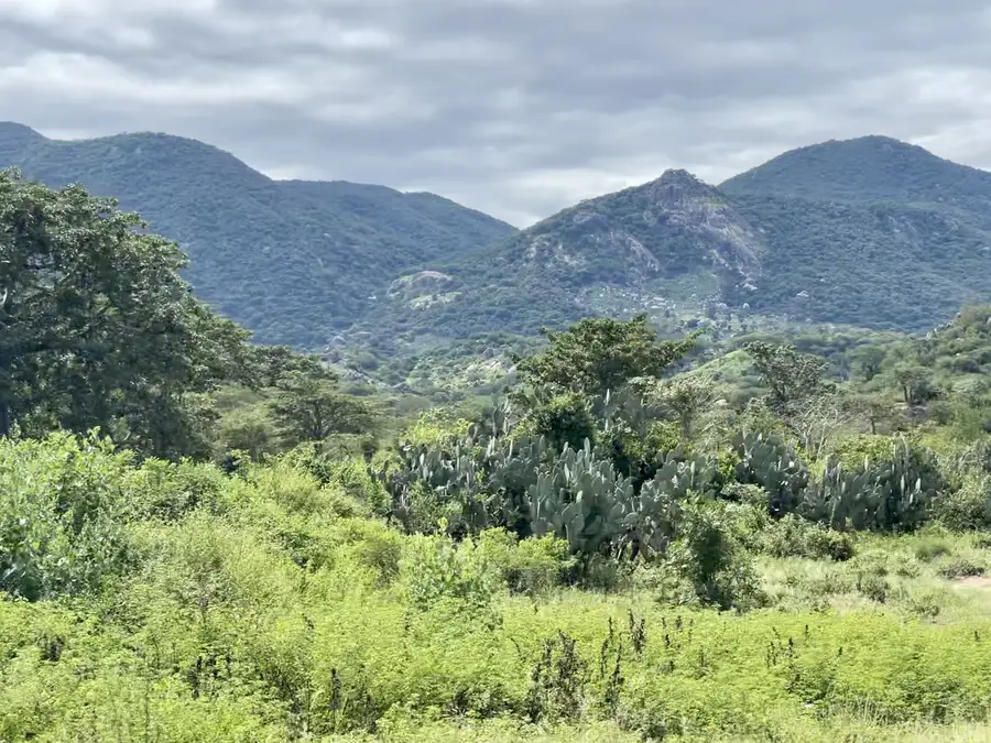 Angola Gallery Image 53