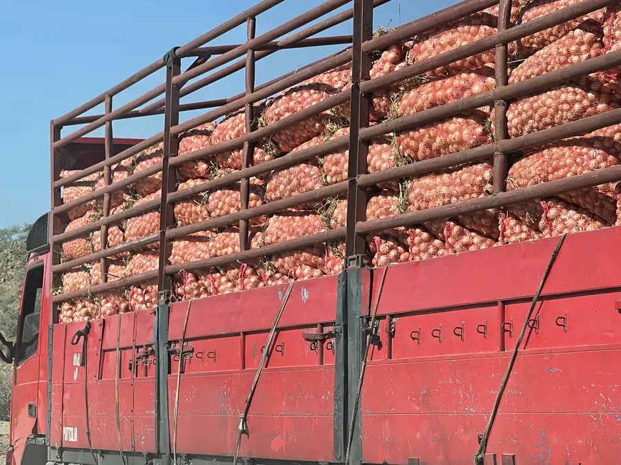 Angola Gallery Image 91